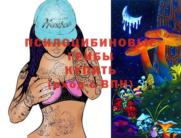 мдпв Алексин