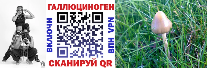 Галлюциногенные грибы MAGIC MUSHROOMS Новоалександровск